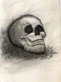 Skull Original Art